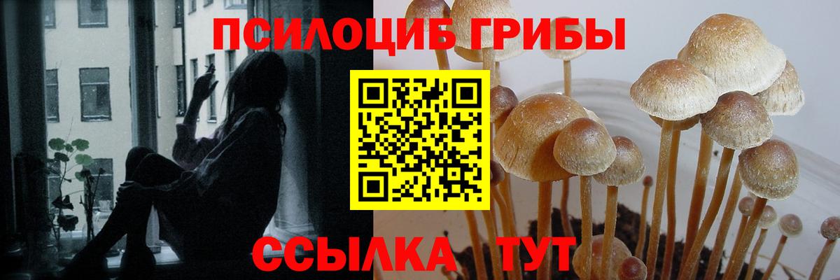Где найти наркотики?  Конопля  Арзамас  КОКАИН  APVP СК   МЕФ кристаллы  Гашиш  Вход с VPN  ГАШИШ 